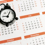 kapan hasil tanam rambut terlihat?